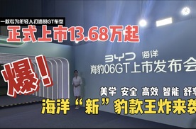 海洋“新”豹款王炸来袭，比亚迪海豹06GT正式上市13.68万起