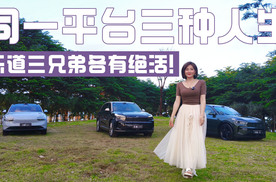 同一平台三种人生，乐道三兄弟各有绝活！