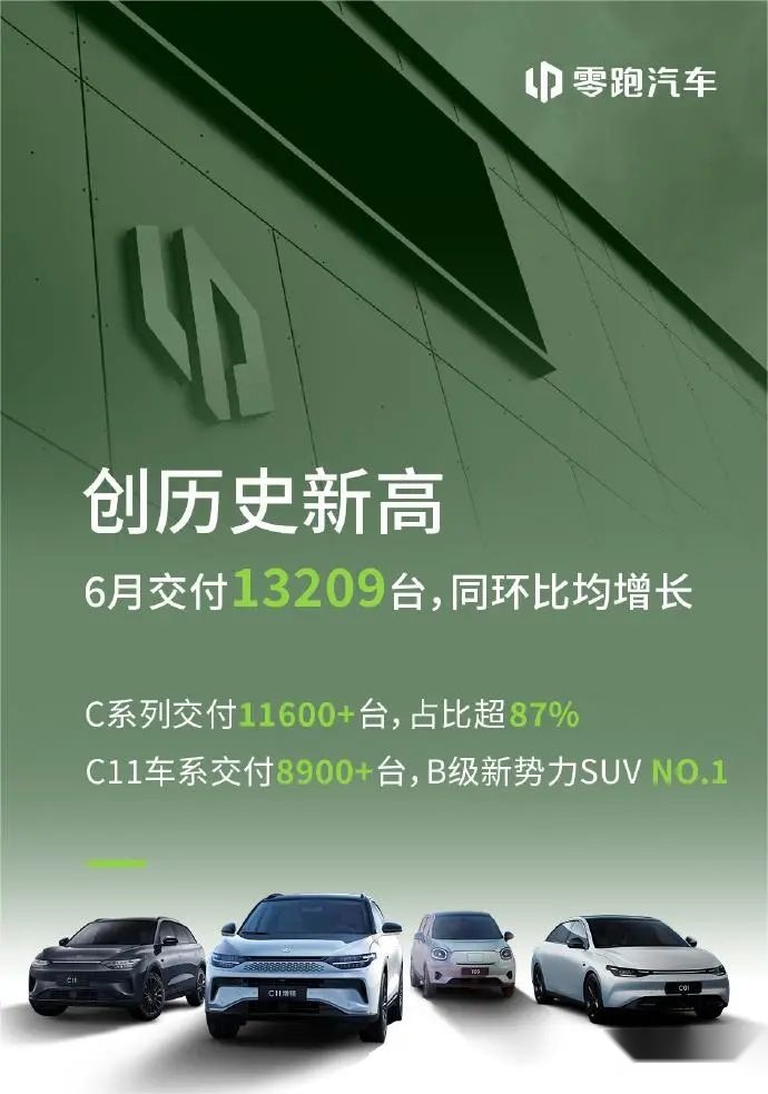 双雄势头不减 整体市场扩张 可视化数据看6月新能源汽车销量