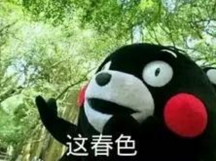 买车网