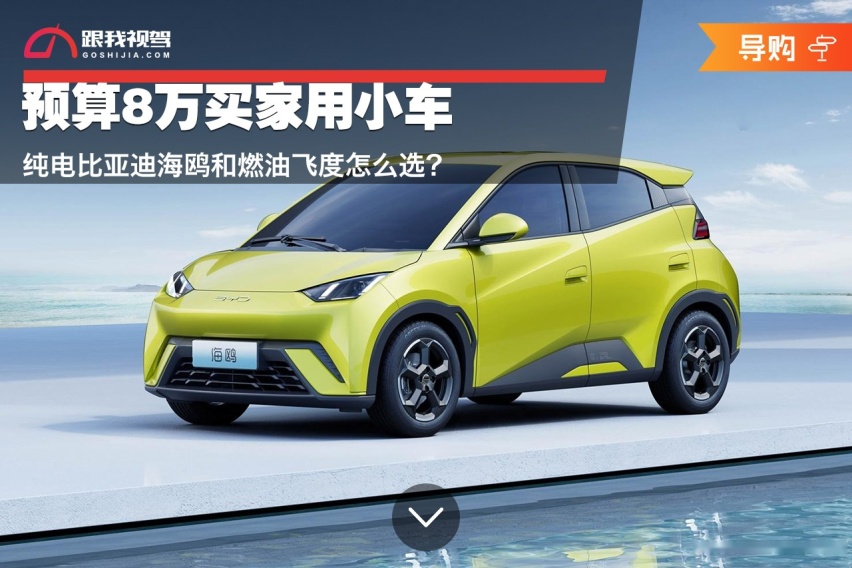 预算8万买家用小车 纯电比亚迪海鸥和燃油飞度怎么选？