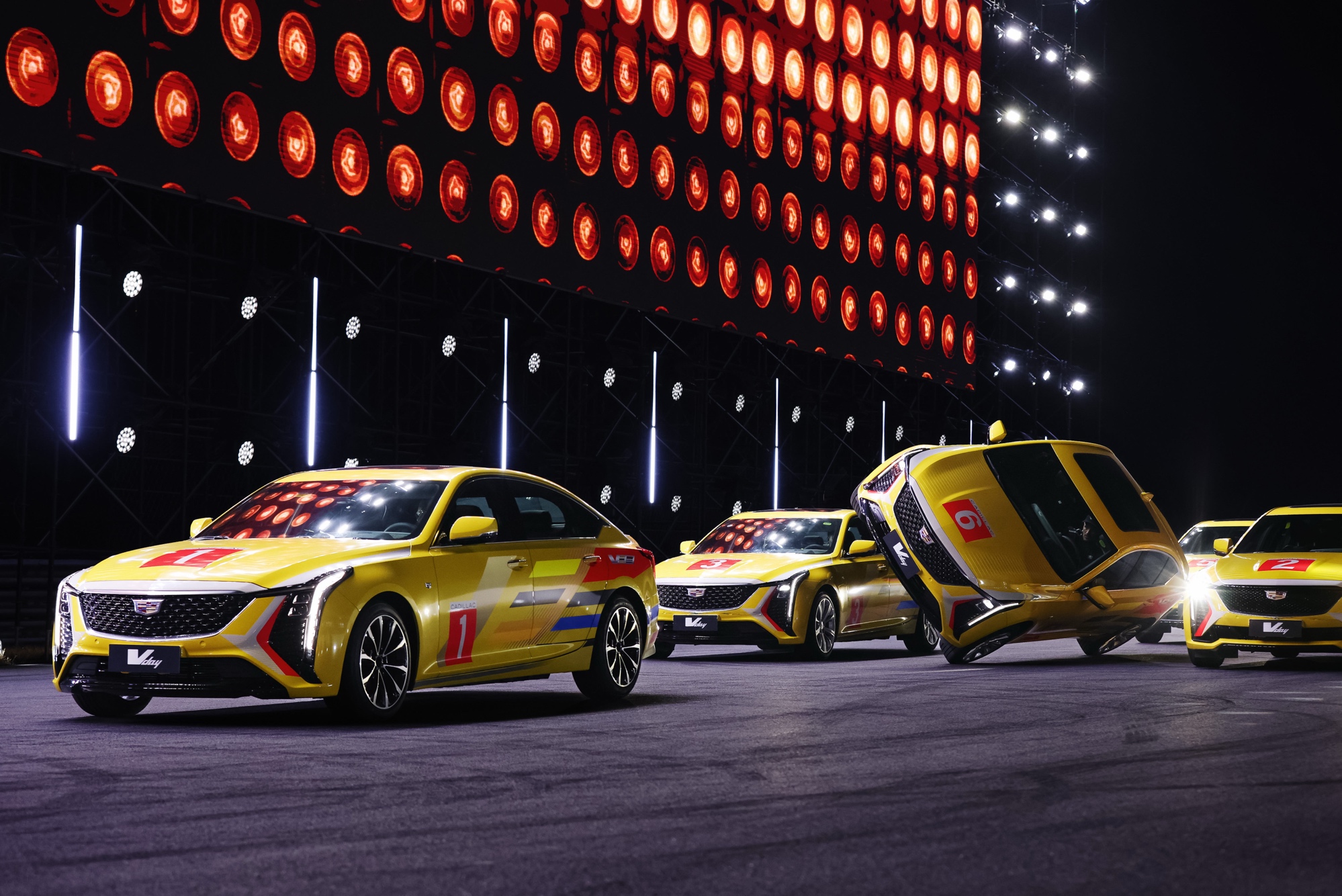 BLOOD NEVER COLD  PVdayѪؚw