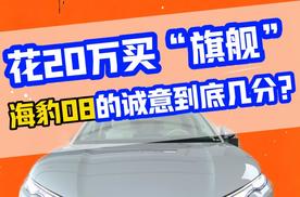 花20万买“旗舰”，海豹08的诚意到底几分？