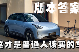 燃油车绝迹销量榜前十，普通人买车答案变了