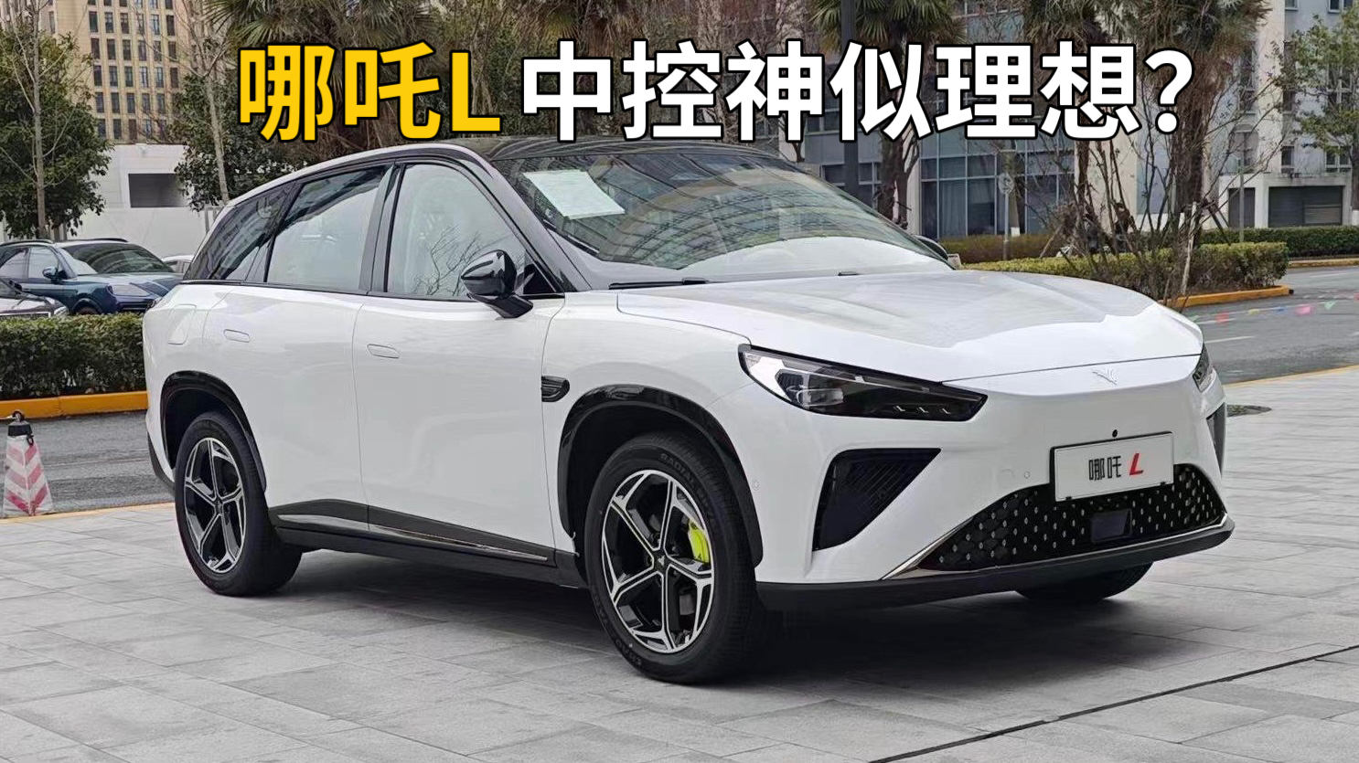 ߸Lꌍ(sh)ģ늴ɳl(f)п