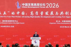 企业要坚持长期主义，中国发展高层论坛点赞比亚迪