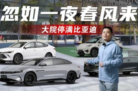 忽如一夜春风来 大院停满比亚迪