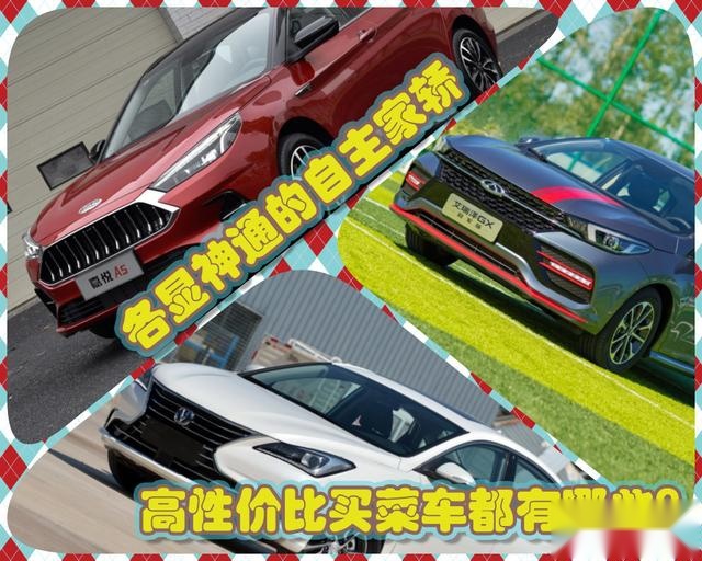 买菜车主选日系？这些自主品牌的买菜车一点都不差