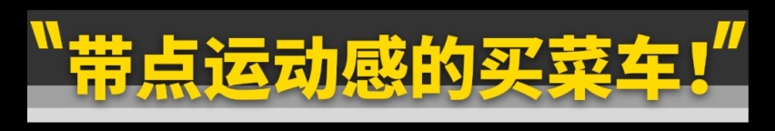 比亚迪首款15万纯电SUV，开着行吗？