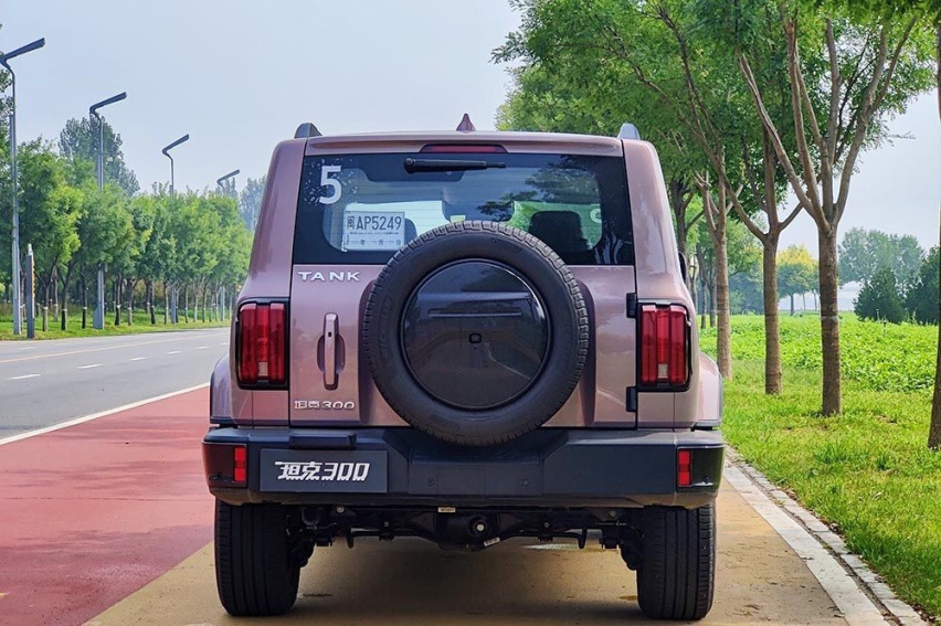 谁是最火国产车 坦克300目前一车难求