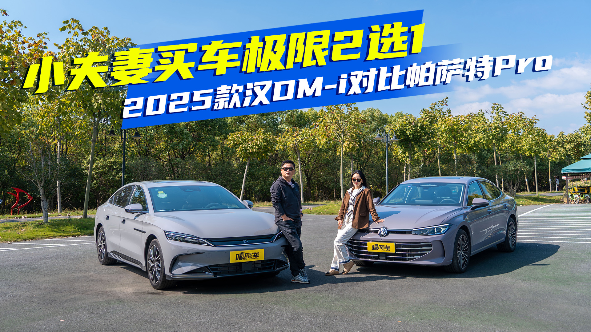 �����������ʲ�׌��2025��hDM-i�������_��Pro��ԓ��ô�x