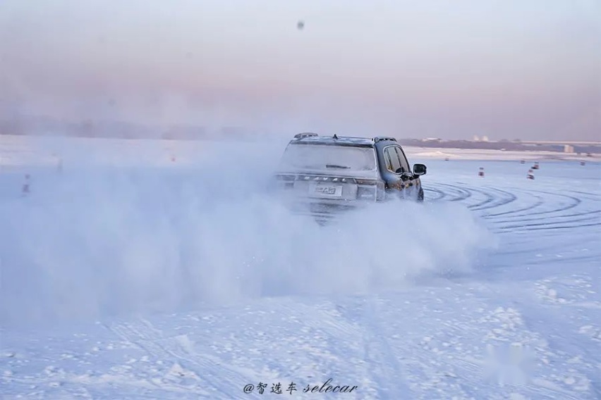 野力爆发，我居然在零下30度的哈尔滨“遛狗”！