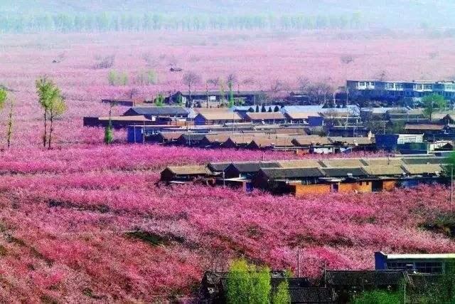 第一个呼吸新鲜空气的，一定是越野人