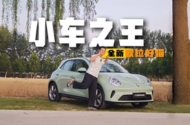 欧拉好猫终极进化，捕获直男的少女心
