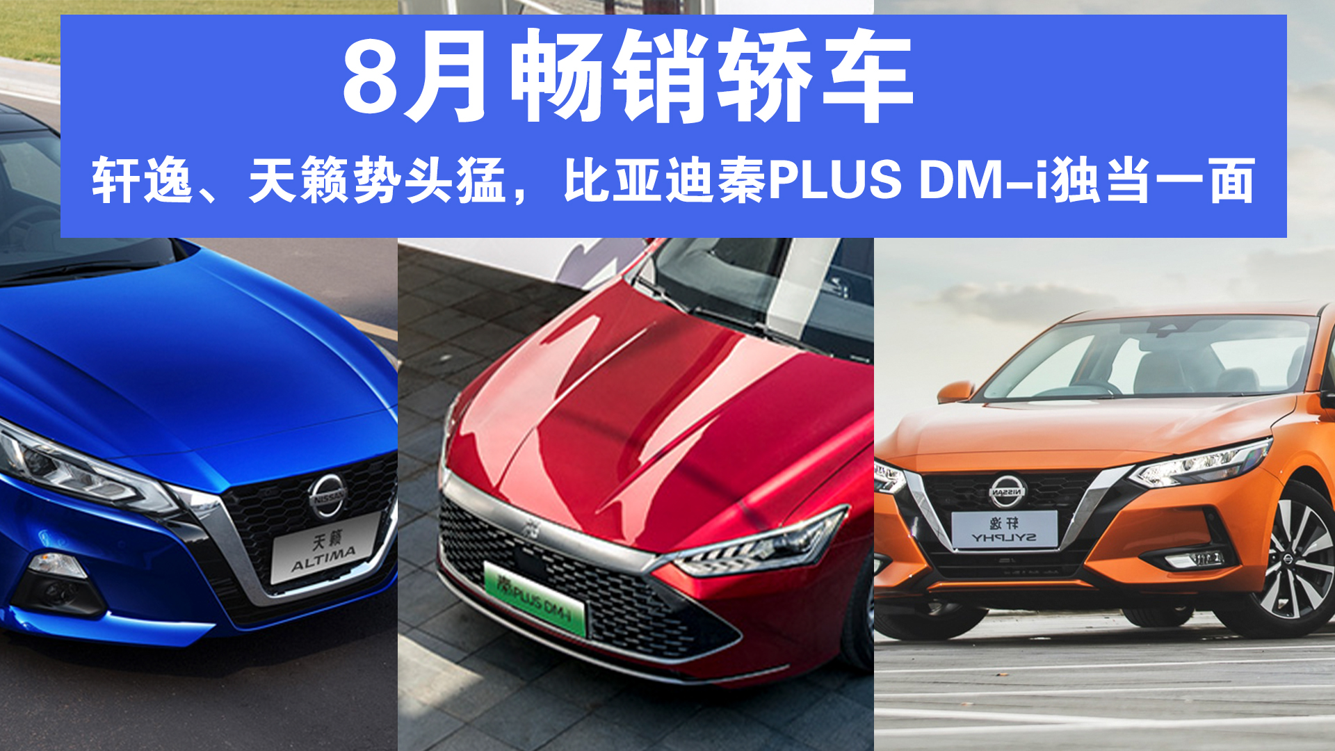 8³γݡͷͣǵPLUS DM-iһ