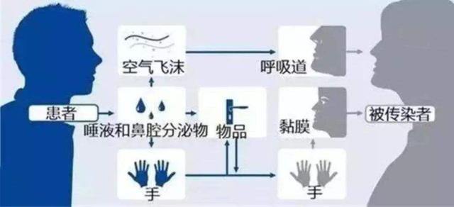 车载空气净化系统真的能够过滤病毒吗？