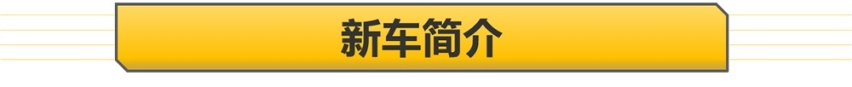 【帮你选车】204匹的1.5T 外观内饰全都换新 试驾全新日产奇骏