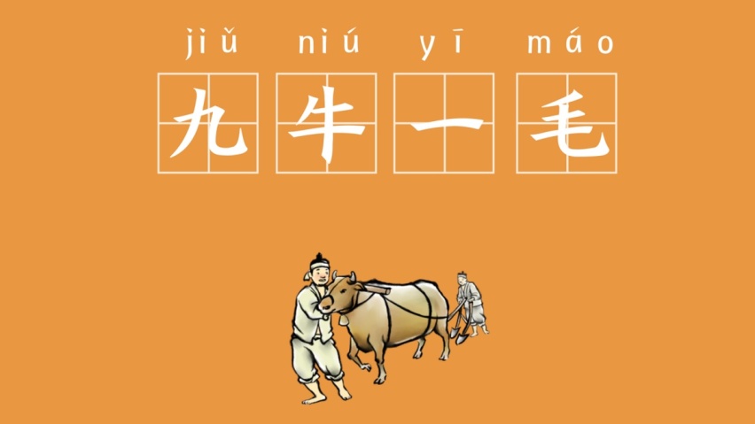 隐形车衣电商品牌也在布局线下渠道，说明什么？