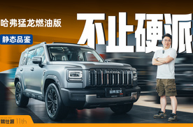 给满实体按键，15万舒适配置到位，静态实拍哈弗猛龙燃油版