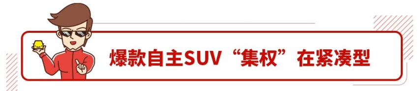 国产SUV卖得火爆都是因为大降价？还真不是