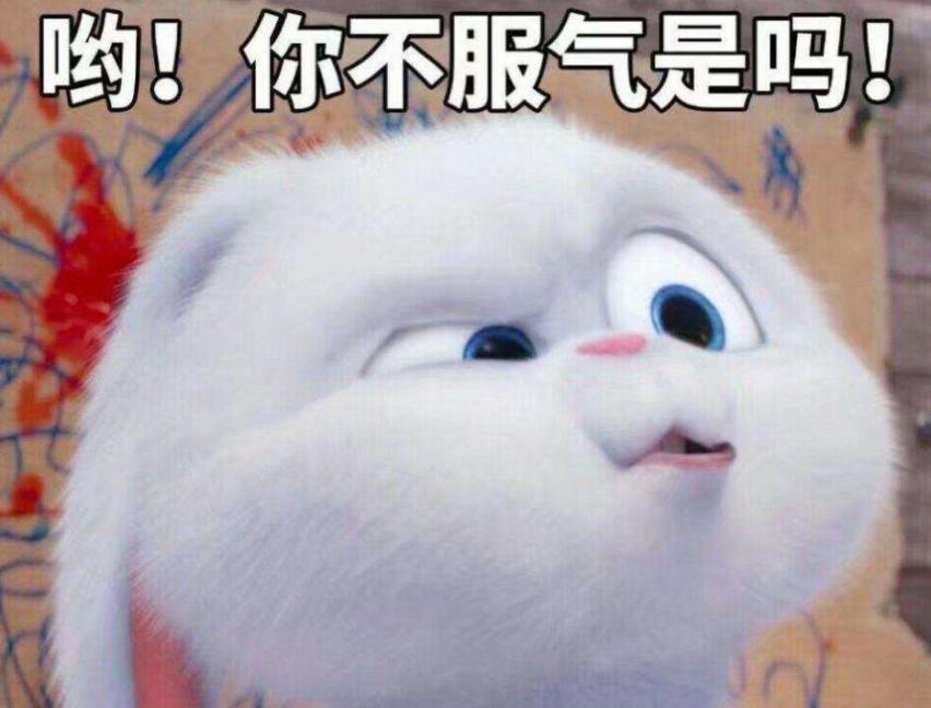 和奥迪比嘴大 与灯厂拼眼神儿