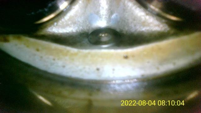 采用司有普技术，帕萨特烧机油一千公里一升消耗到两千公里机油稳定的经历
