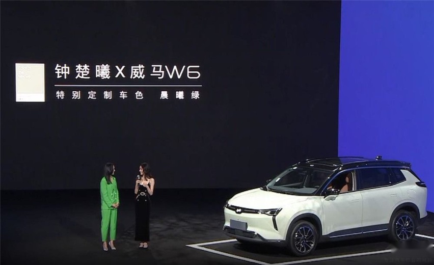 价格即正义的时代 还能保持初心 威马W6售16.98万元起
