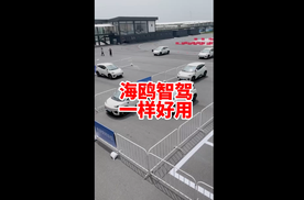 比亚迪海鸥智驾 在超级便宜的车上智驾一样好用