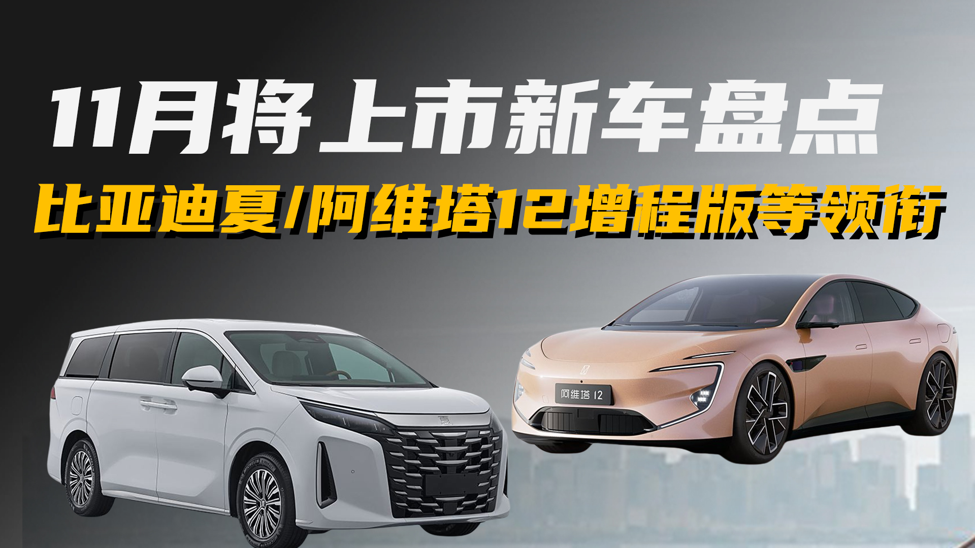 ȁ/СiP7 /S12I㕣11܇ڴl