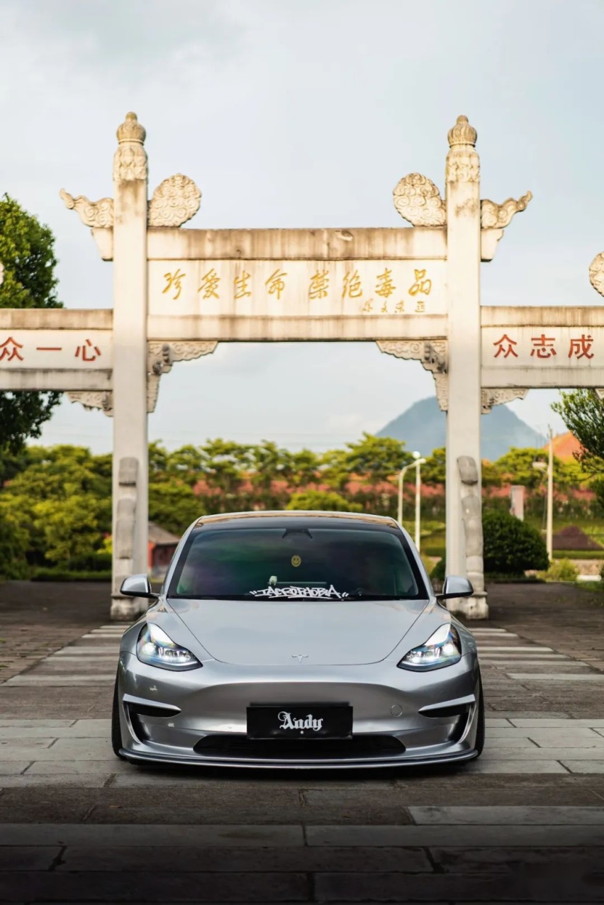 姿态风特斯拉Model 3，从迷彩战斗范变身成优雅绅士