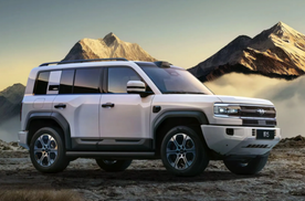 选家用新能源 SUV，25-30 万区间热门车型对比