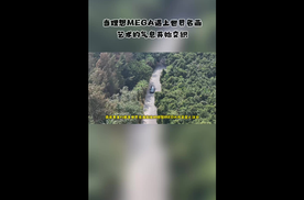 当理想MEGA遇上世界名画，艺术的气息开始交织