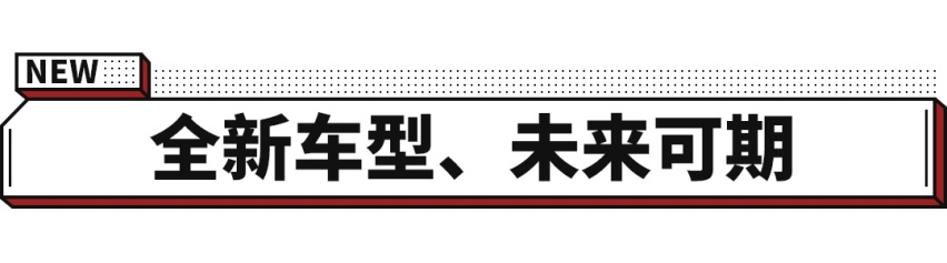 8万起 你看这台国产