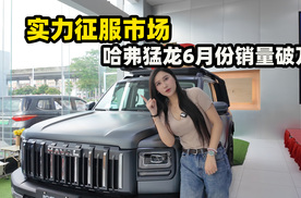 米七探店哈弗猛龙！方盒子销冠真的那么猛？