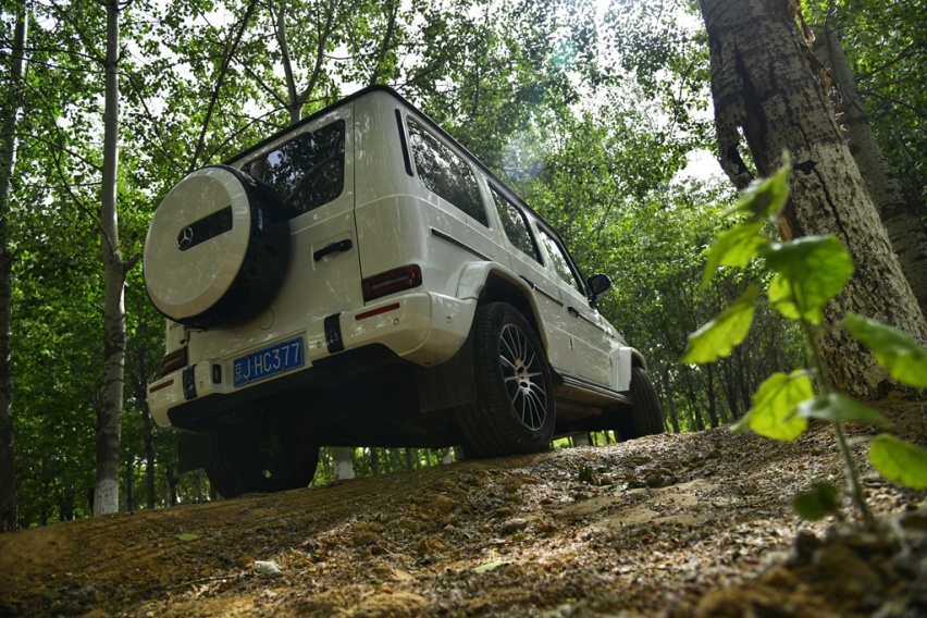路野必前行，试驾2020款奔驰G500