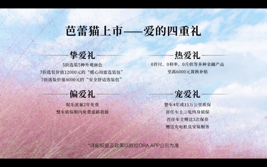 19.3万起售，自带补妆镜和水晶托盘，欧拉芭蕾猫能赢得少女心？