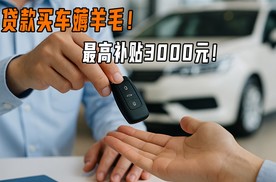 贷款买车薅羊毛！最高补贴3000元！