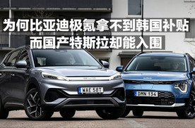 为何比亚迪极氪拿不到韩国补贴，而国产特斯拉却能入围？