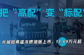 把“高配”变“标配” 长城哈弗猛龙燃油版上市，13.69万元起
