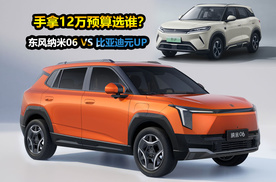 同为纯电SUV，东风纳米06售价不足8万起，竞争比亚迪元UP你选谁？
