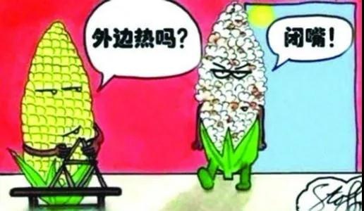 买车网