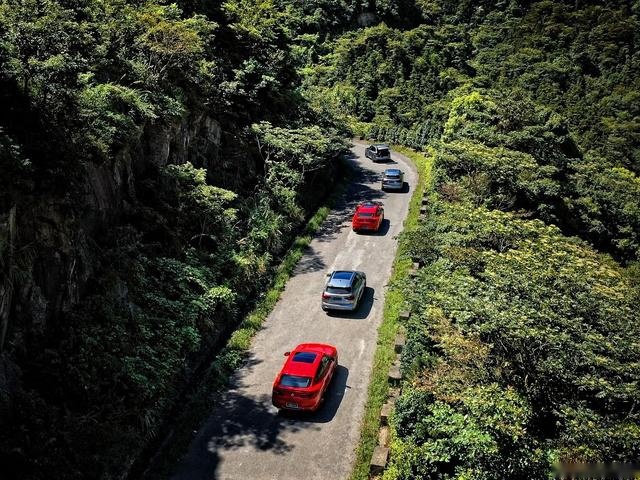 X3M和X4M，这哥俩好…好不一样