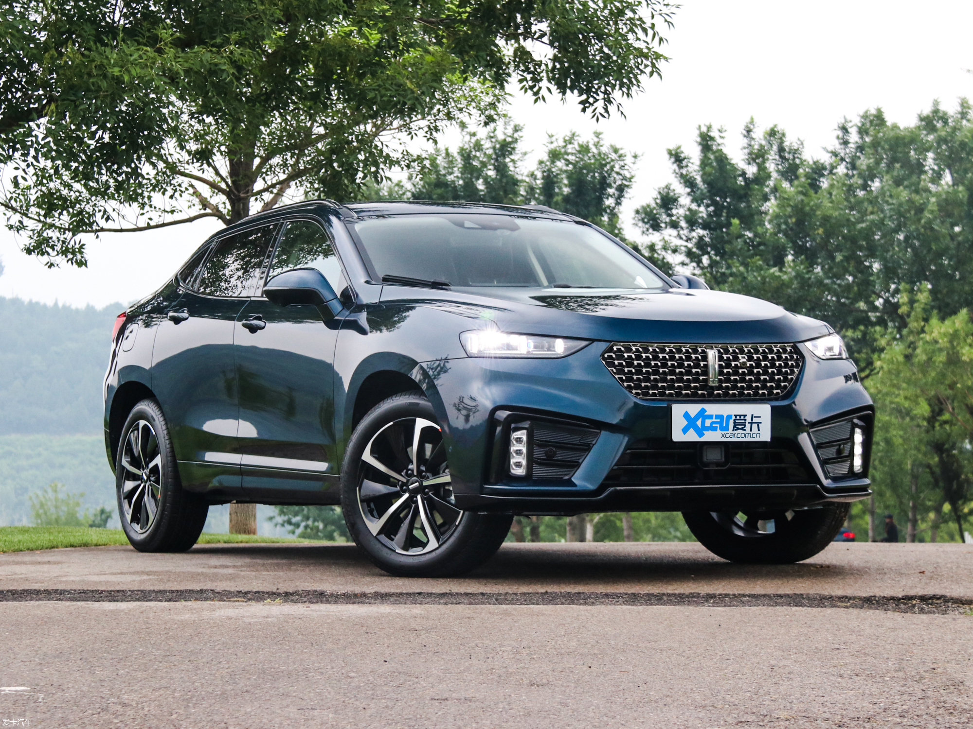 ����WEY VV7 GT��ƨ������˾�C�̲�ס�f��̫�N�˰ɡ�