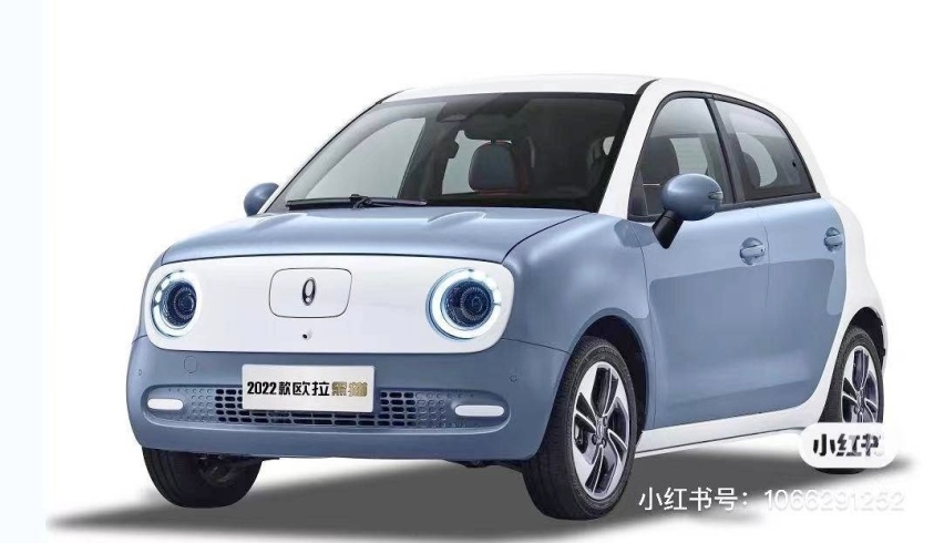 欧拉黑猫也上双联屏，2022款官图疑似发布