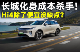 深扒插混大脑洞：长城Hi4如何用两驱成本做四驱？