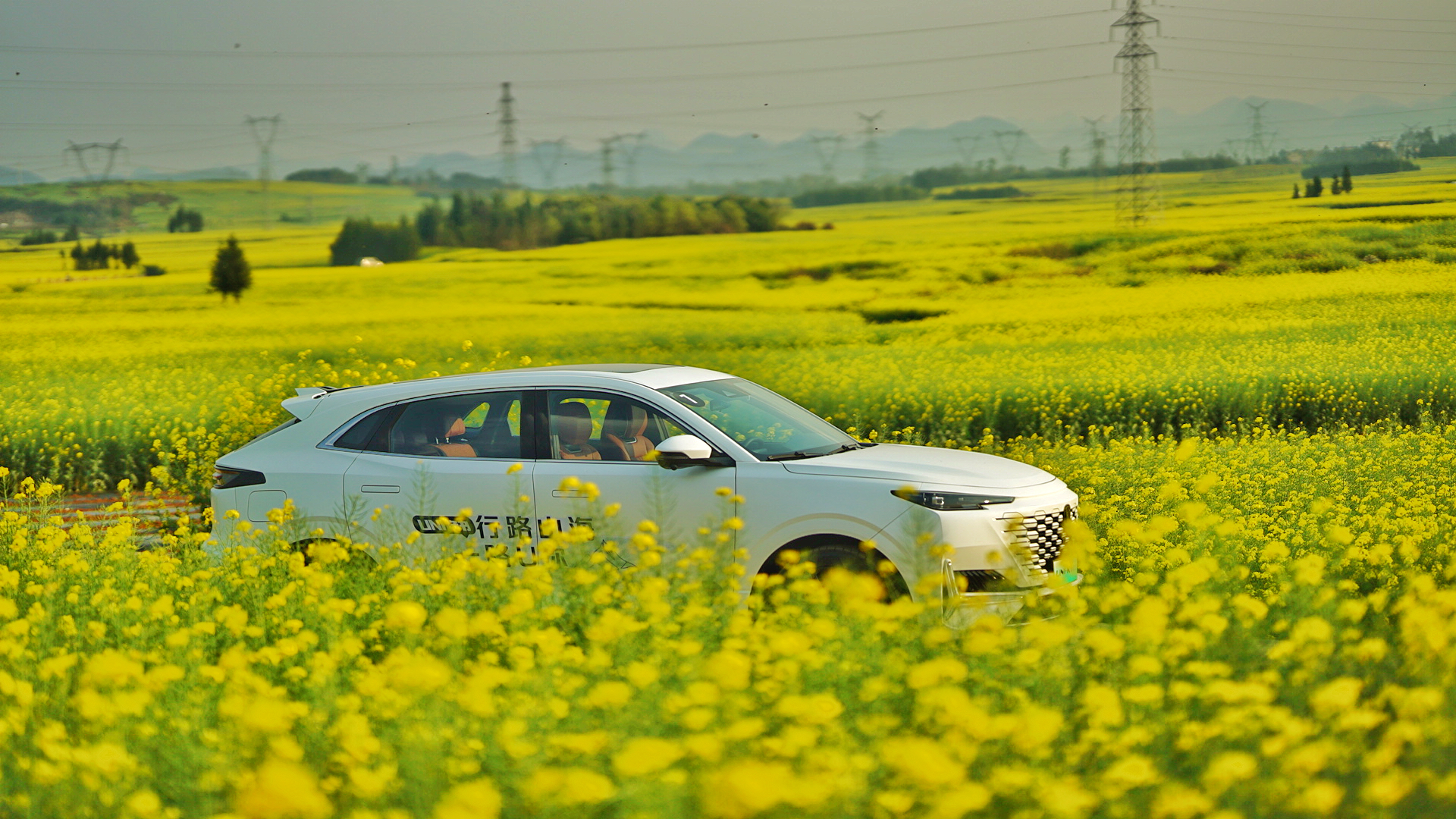 ߅ΑʿLUNI-KiDDܷȫҳΣ