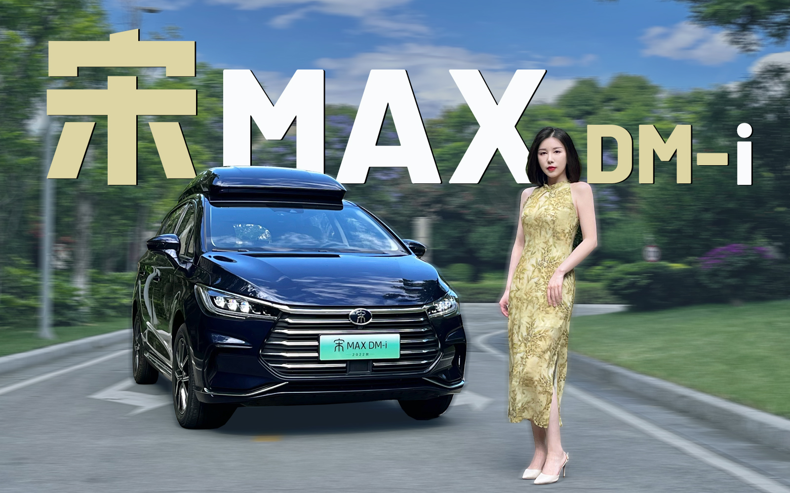 ͺ@ϲ ԇ{2022MAX DM-i