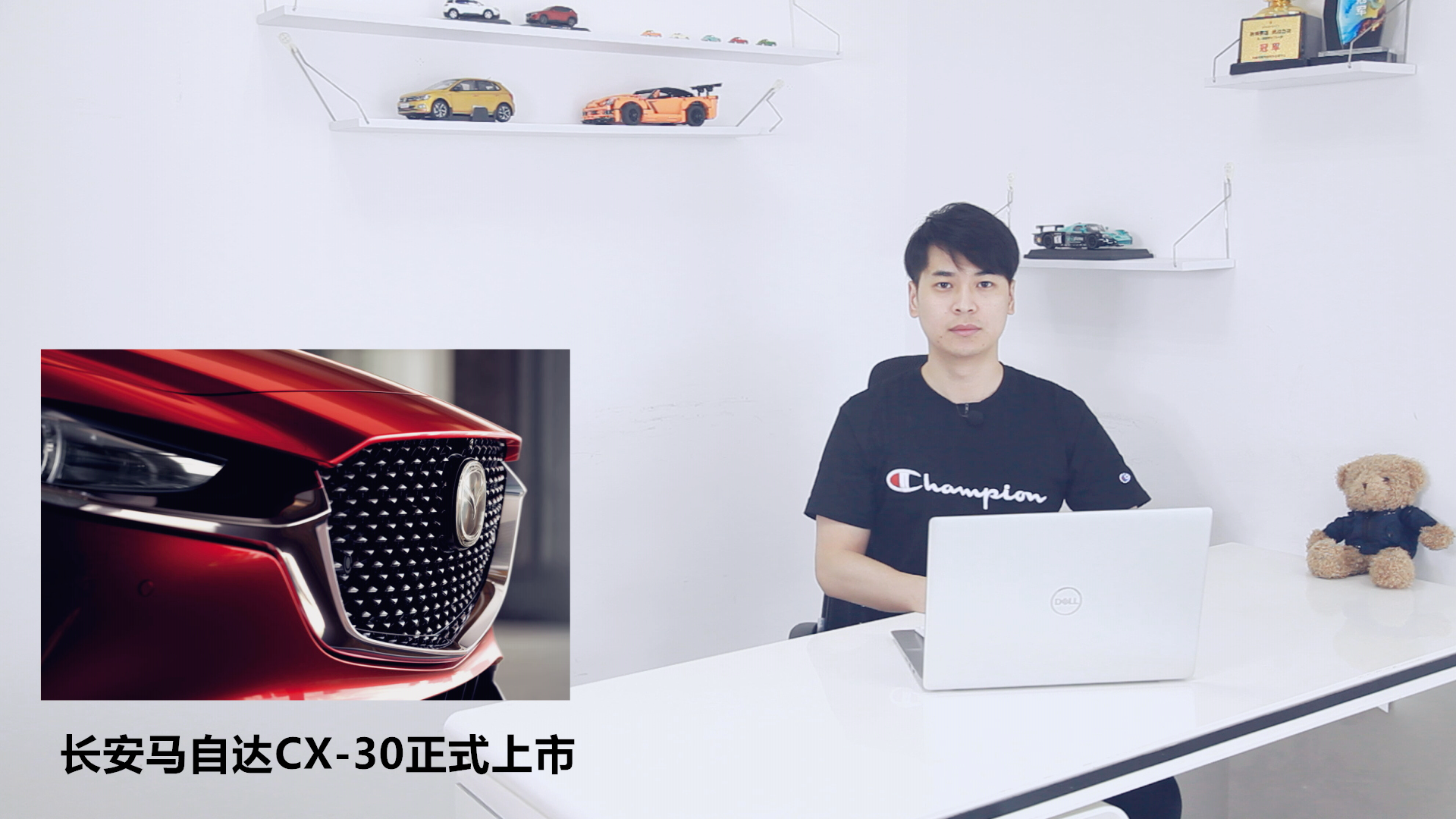 ԴCX-30ʽ
