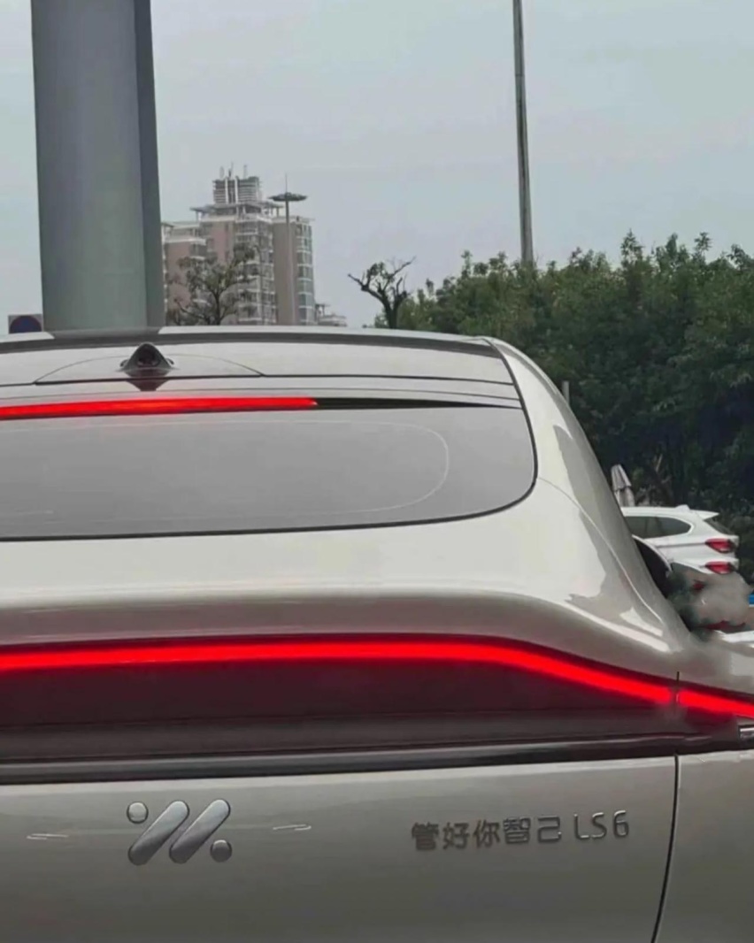 车主们的精神状态不错，爆改车尾标识，各式各样全是“整活”