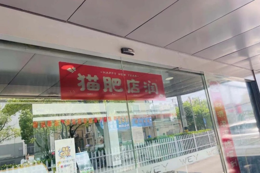 欧拉好猫，真那么吸引女神斯基们？